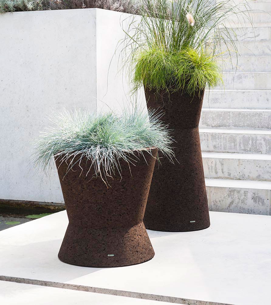 Bush On Two Planter in front of some marble stairs outside