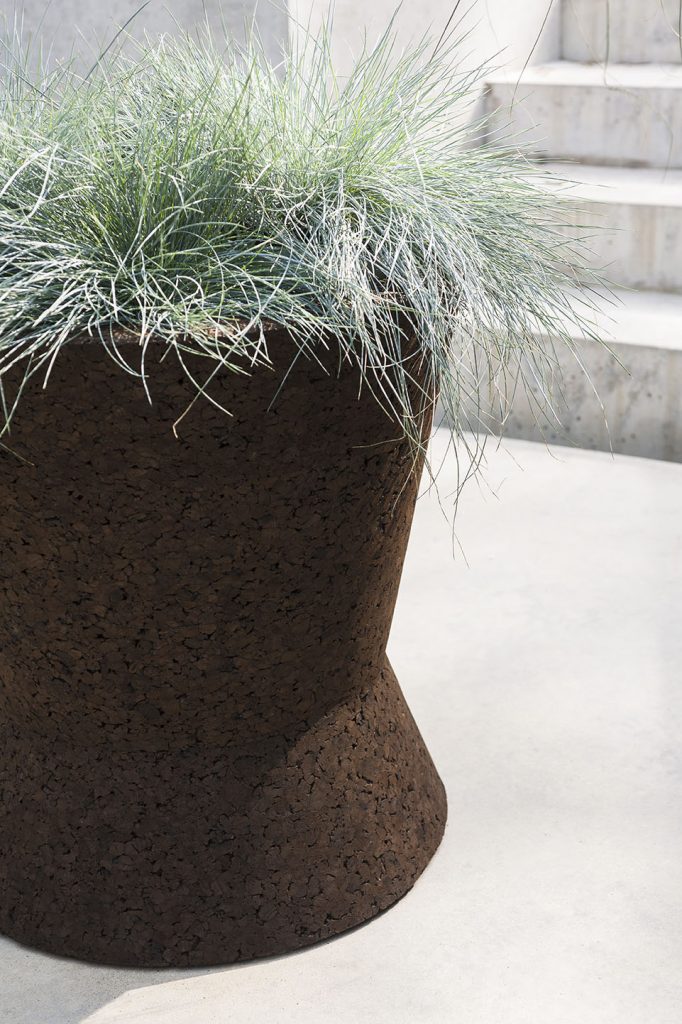 Bush On Two Planter in front of some marble stairs outside