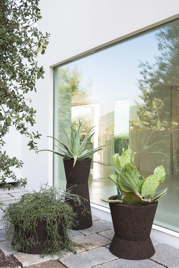 Bush On Two Planter outside in front of a window on a patio