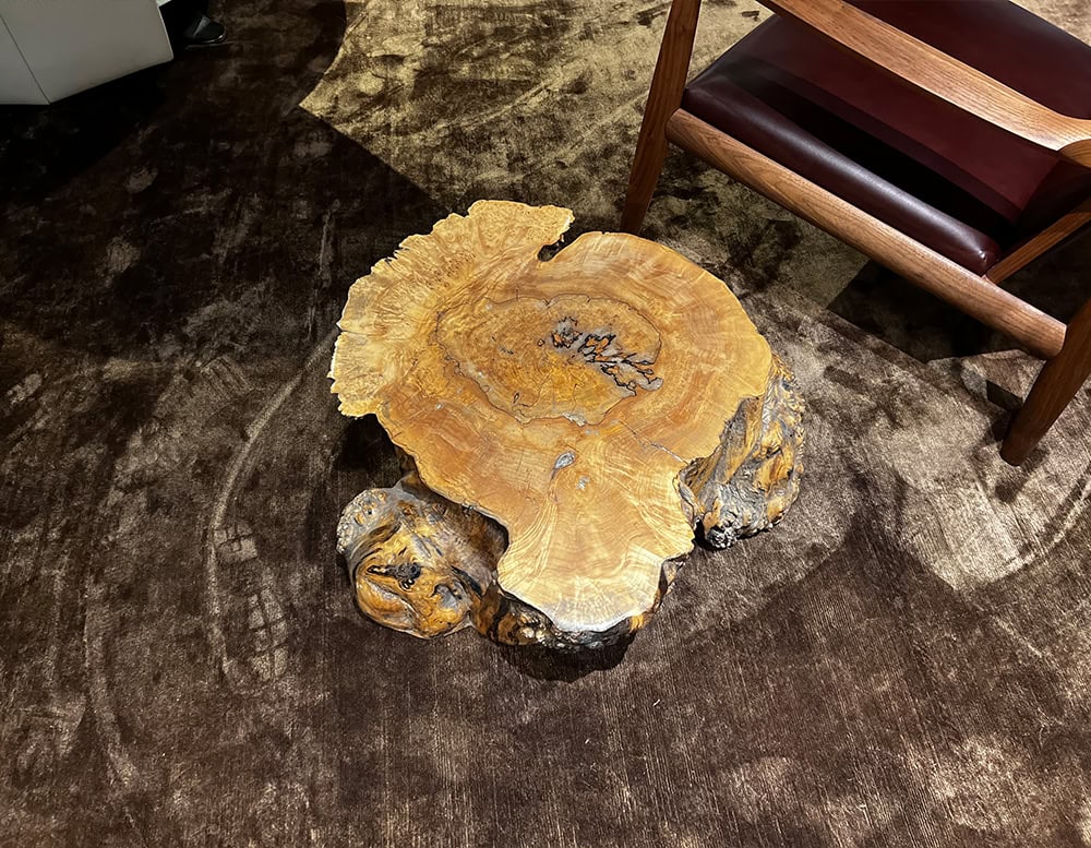 Maple Burl Stump