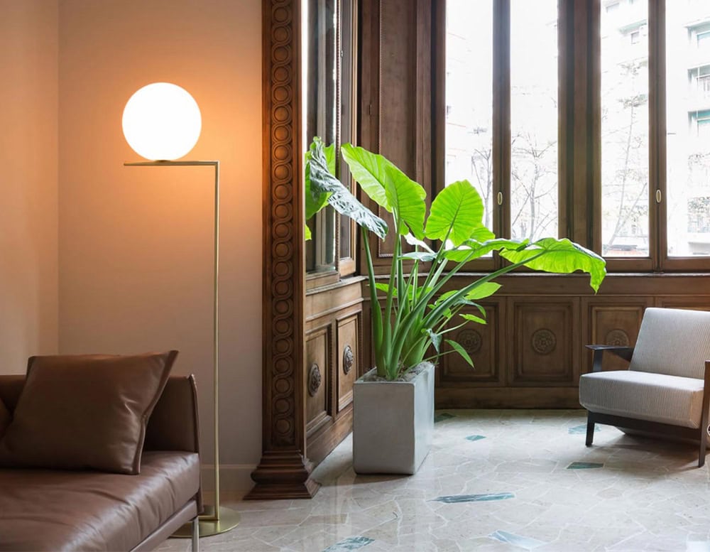 Flos IC floor lamp stood against a beige wall near a brown sofa and across from a green plant.